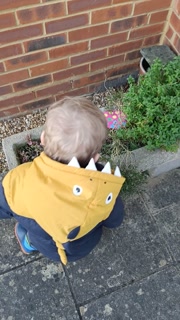 VID20260405112806.mp4