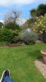 VID20260405120044.mp4